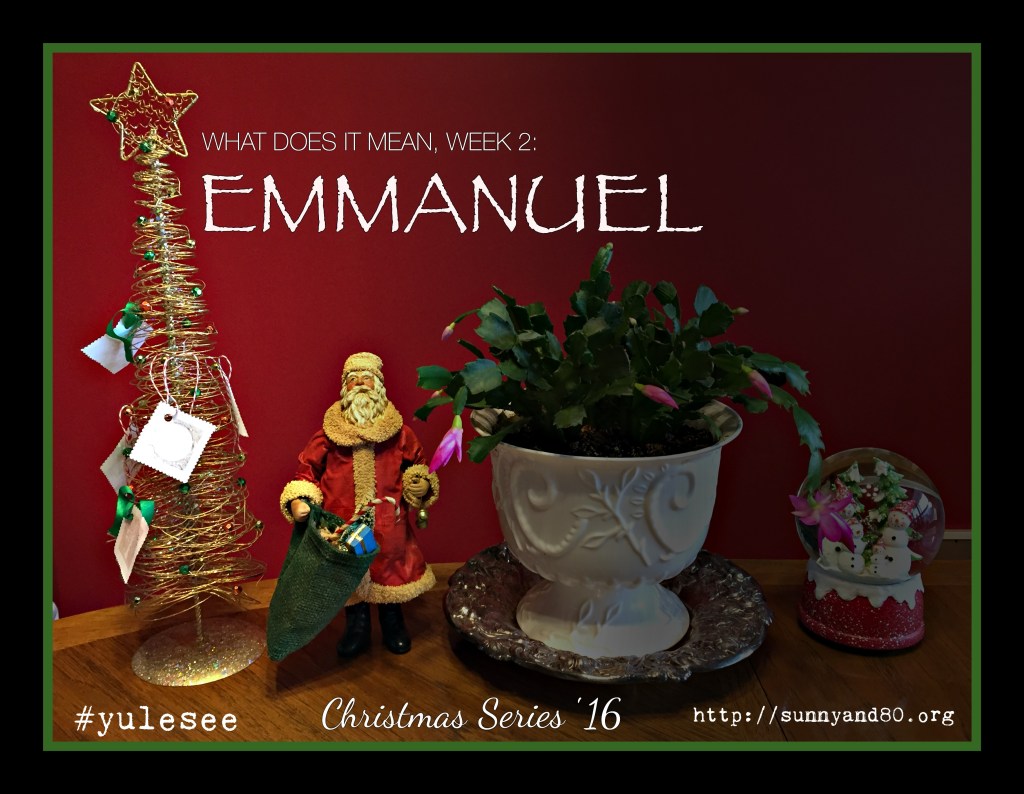 “What Does It Mean?” Week Two:&nbsp;Emmanuel