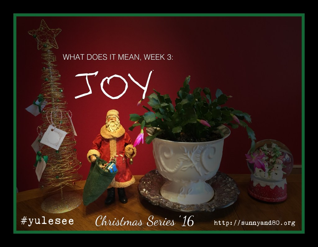 “What Does It Mean?” Week 3:&nbsp;Joy.
