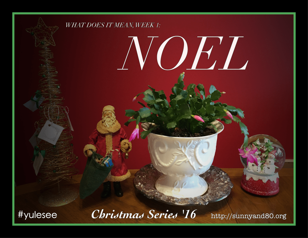 “What Does It Mean” Week One:&nbsp;Noel.