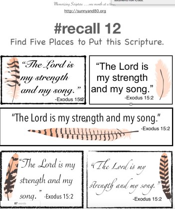 #recall12 July memory cards