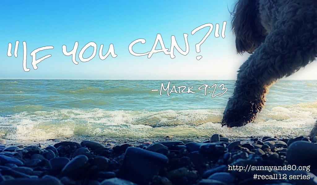 The Impossible Things (#recall 12 series,&nbsp;September)