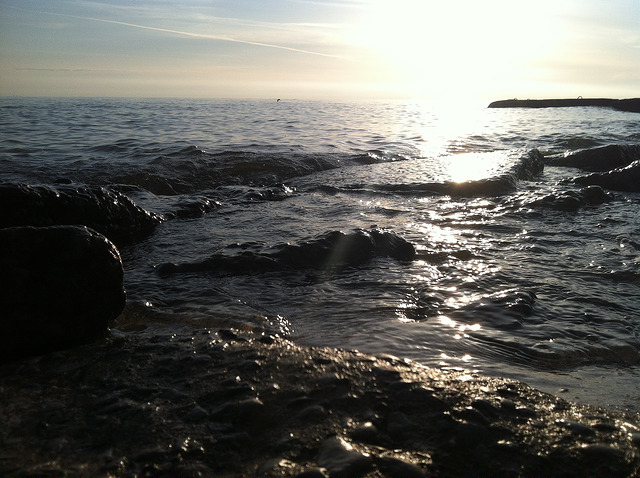 The Hand-Held (#recall 12 series,&nbsp;May)