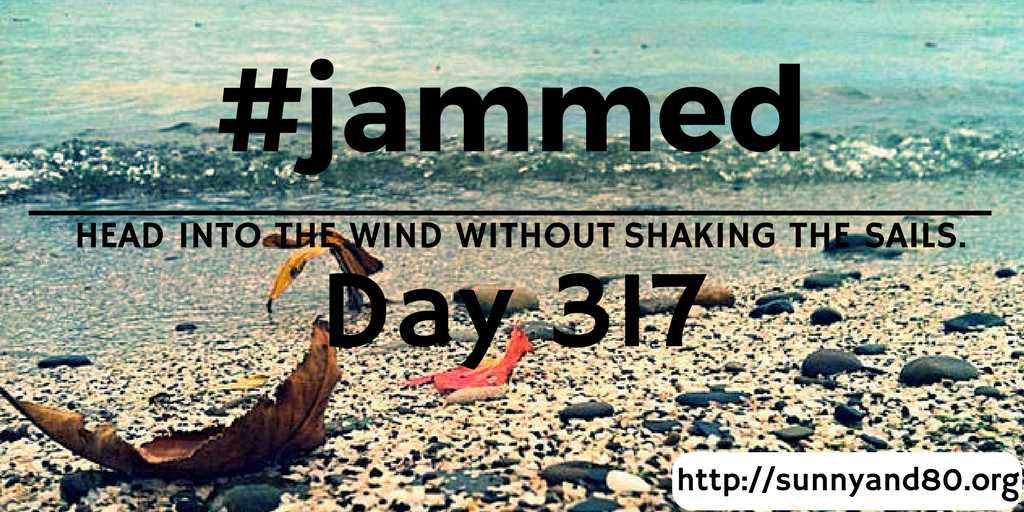 The Questions (#jammed daily devo, day&nbsp;317)