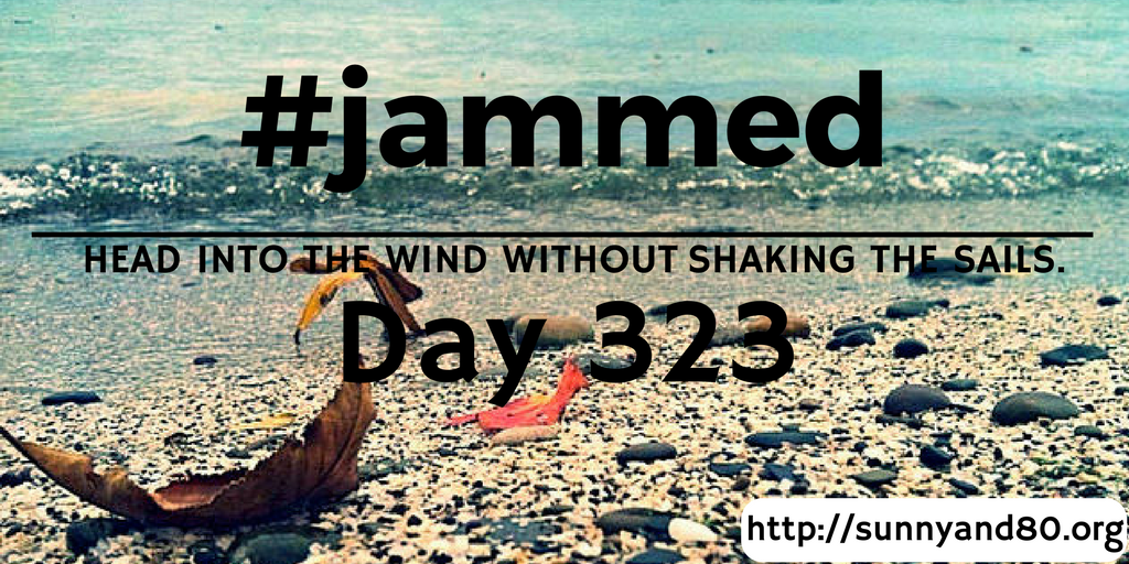 The Wing Seat (#jammed daily devo, day&nbsp;323)