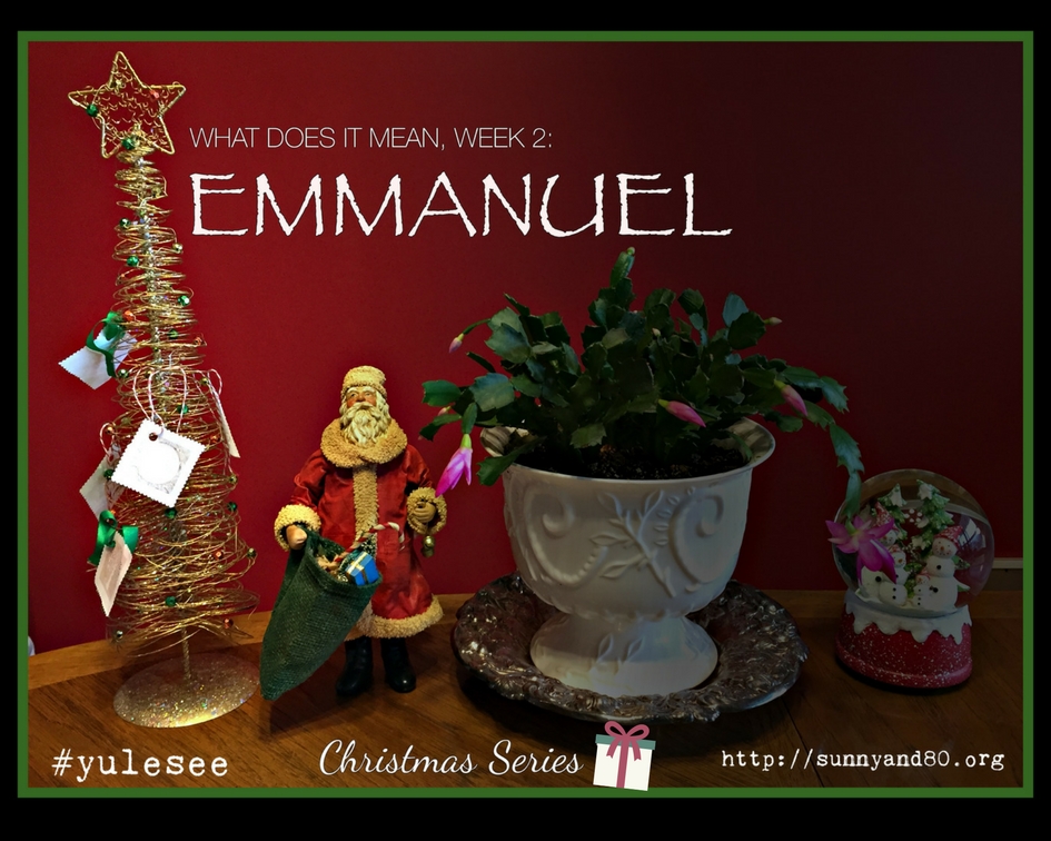 Emmanuel …What Does It Mean? (Christmas Series, Week&nbsp;2.)