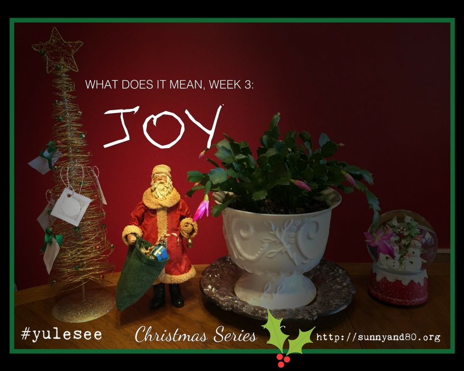 Joy …What Does it Mean? (Christmas Series, Week&nbsp;3)