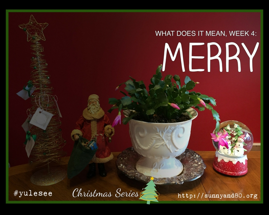 “What Does it Mean?” Christmas Series, Week 4:&nbsp;Merry.