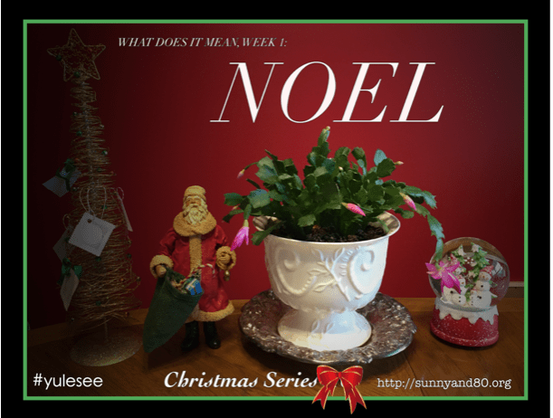 Noel …What Does It Mean? (Christmas Series, Week&nbsp;1.)